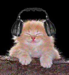 j'aime la musique
